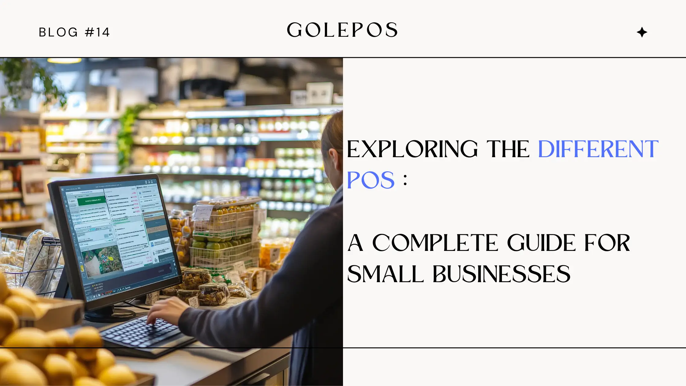 Exploring the Different POS, A Complete Guide for Small Businesses