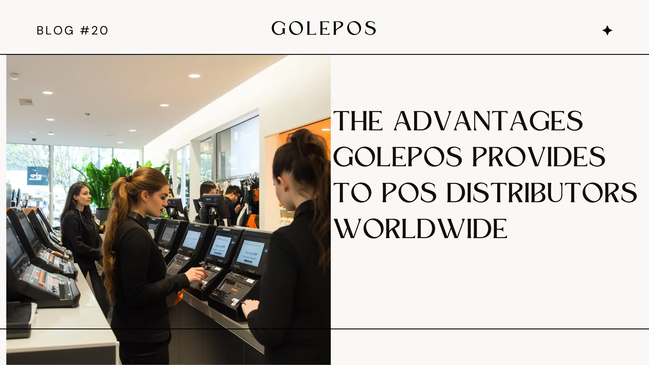 The Advantages GolePOS Provides to POS Distributors Worldwide